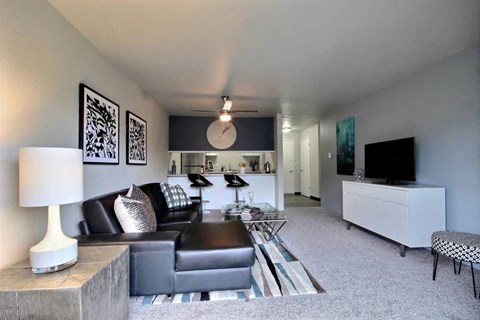 a living room with a couch and a television